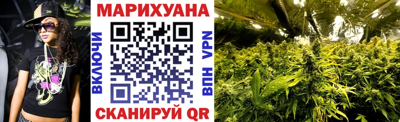Канабис сатива  цена наркотик  Ессентукская 